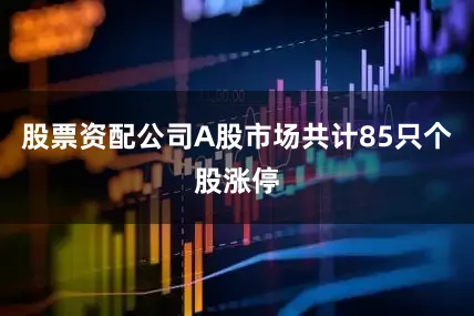 股票资配公司A股市场共计85只个股涨停