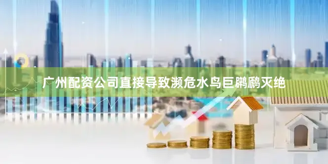 广州配资公司直接导致濒危水鸟巨䴙䴘灭绝