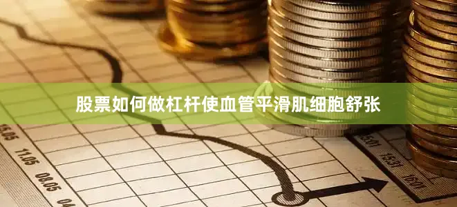 股票如何做杠杆使血管平滑肌细胞舒张