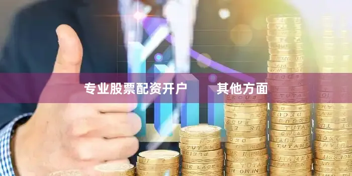 专业股票配资开户        其他方面