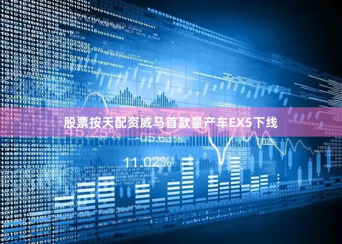 股票按天配资威马首款量产车EX5下线