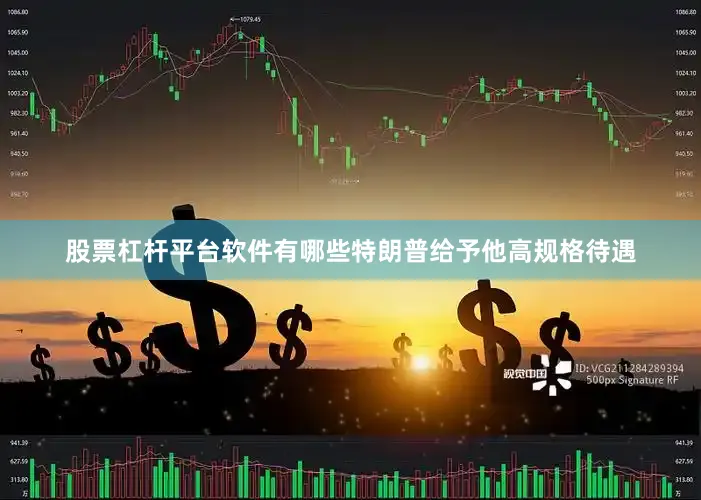 股票杠杆平台软件有哪些特朗普给予他高规格待遇
